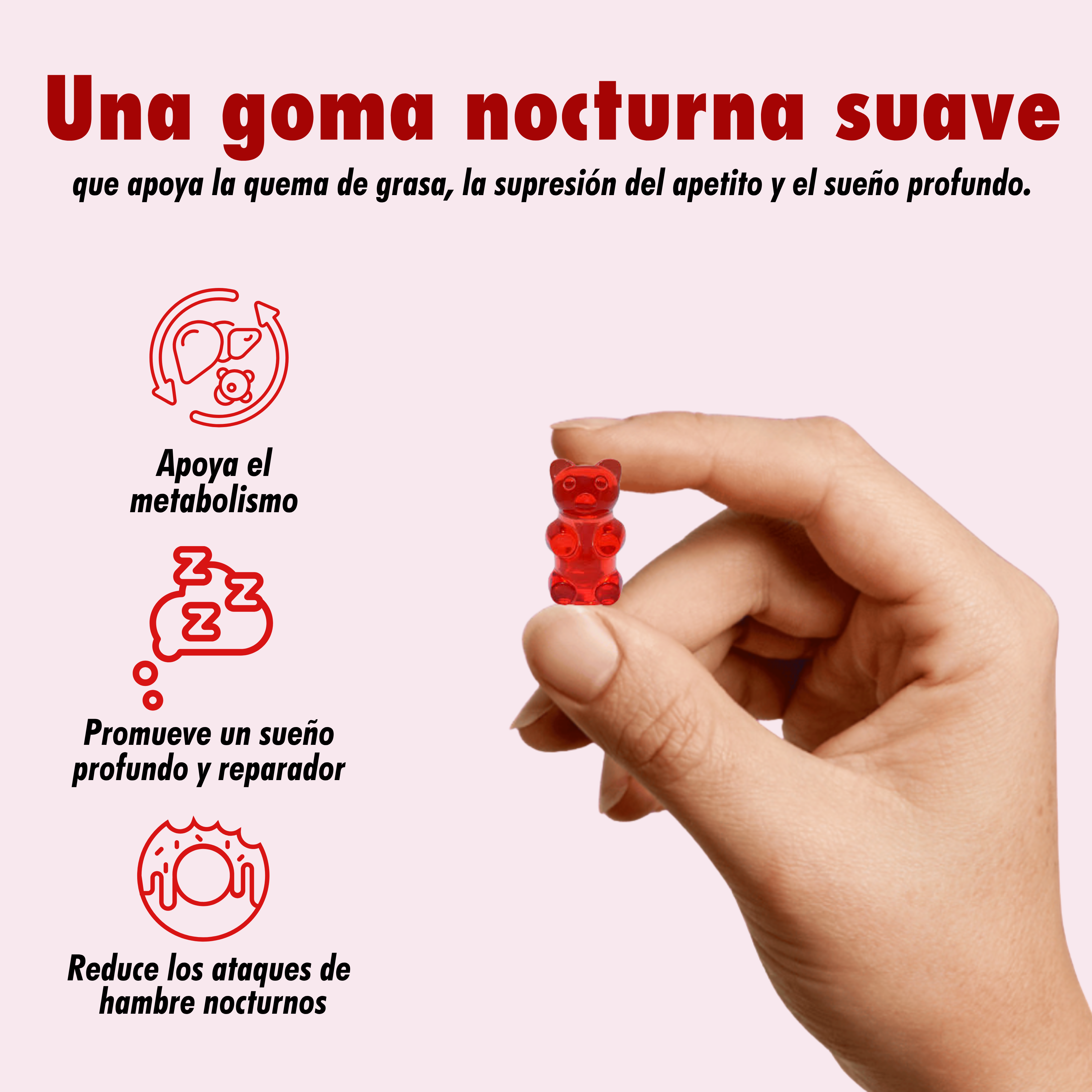 Encabezado
