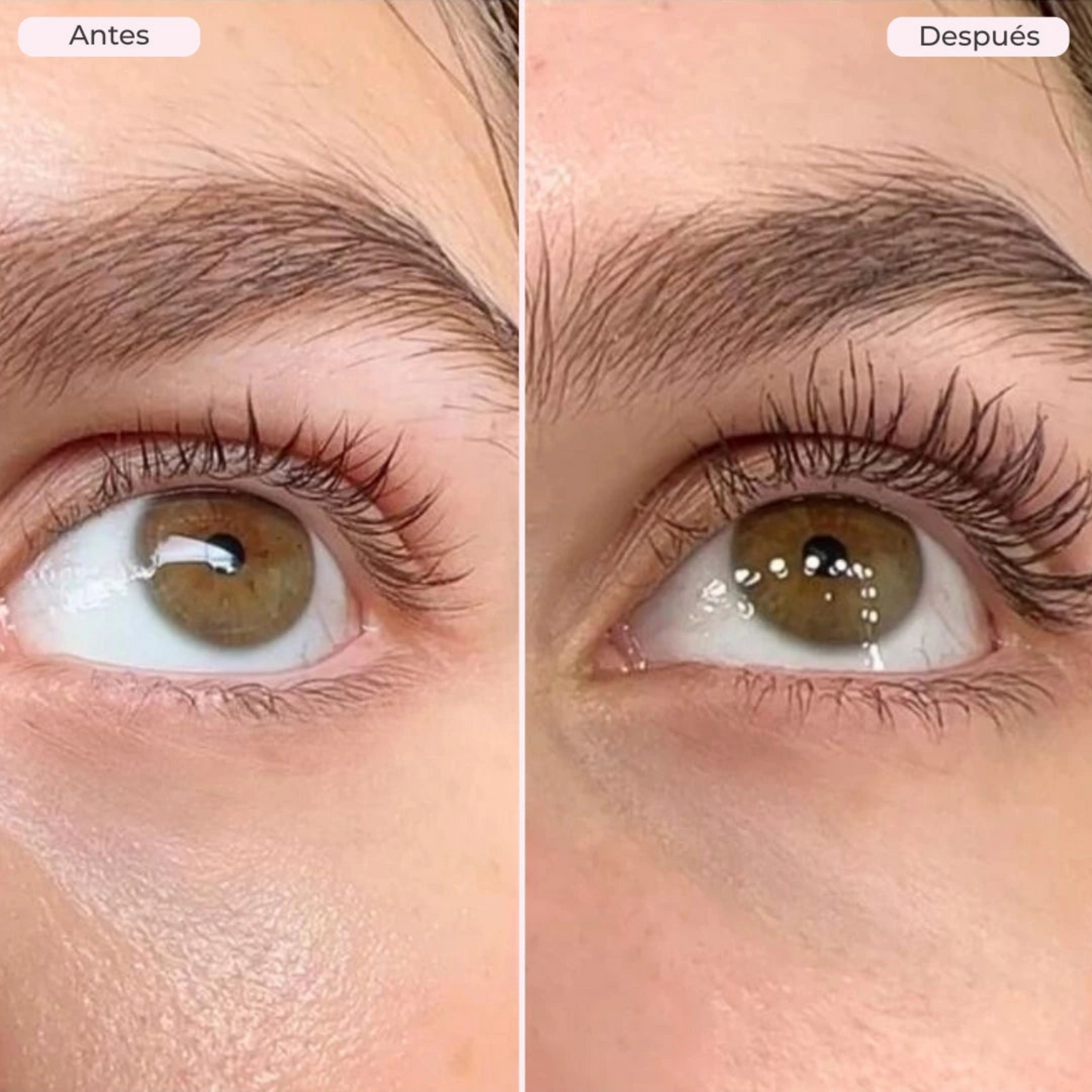 Serum Cejas Y Pestañas 2x1