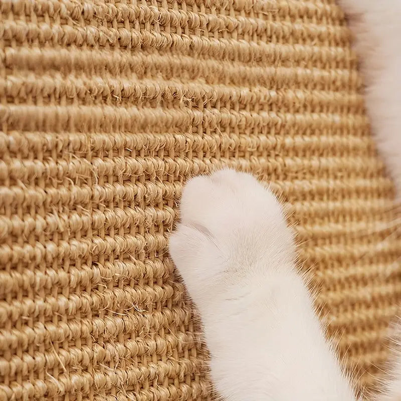 Cama Rascador Para Gatos Multifuncional